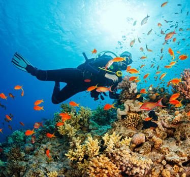 Scuba Diving
