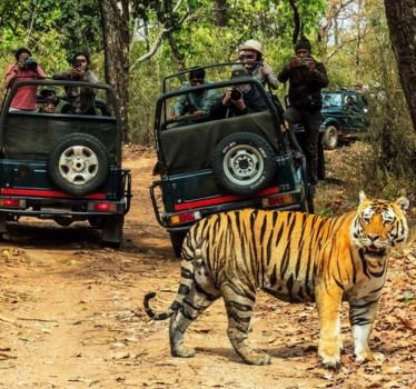 Jeep Safari